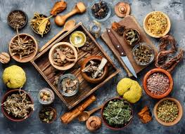 Wild Yam & Herbal Oils